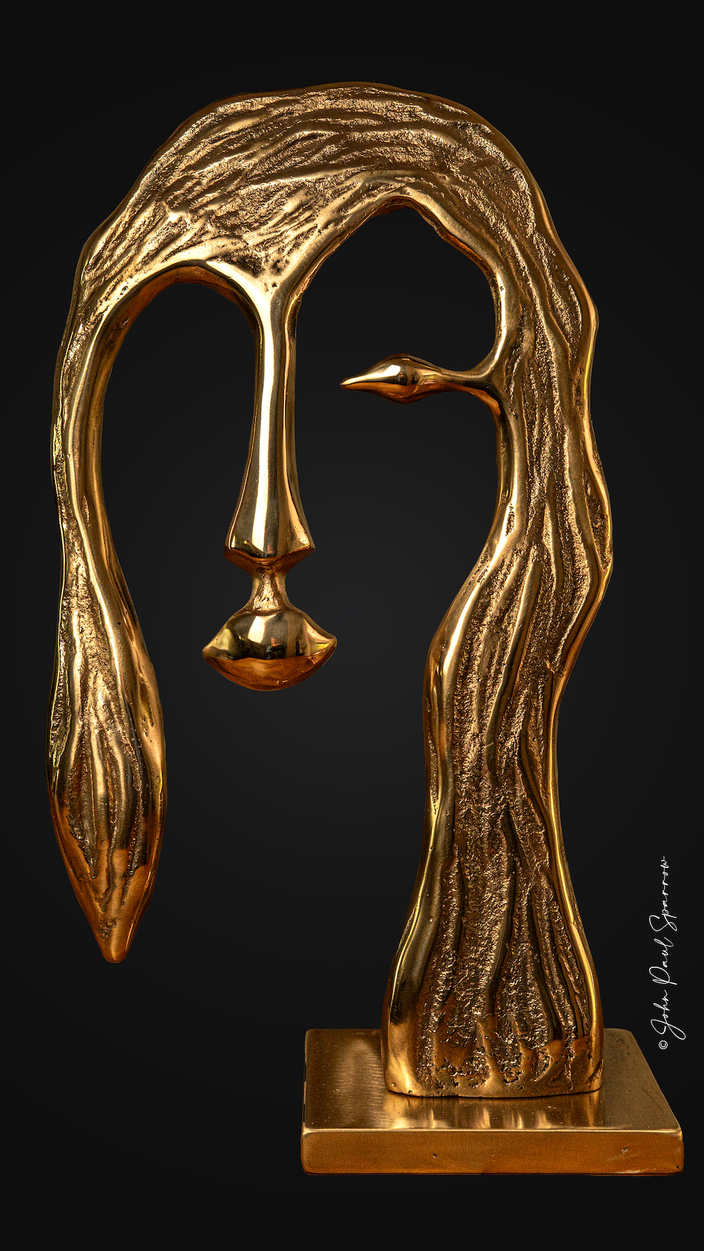 Auto portrait