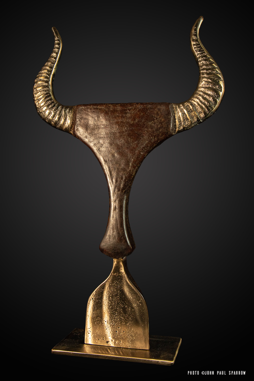Bos Taurus